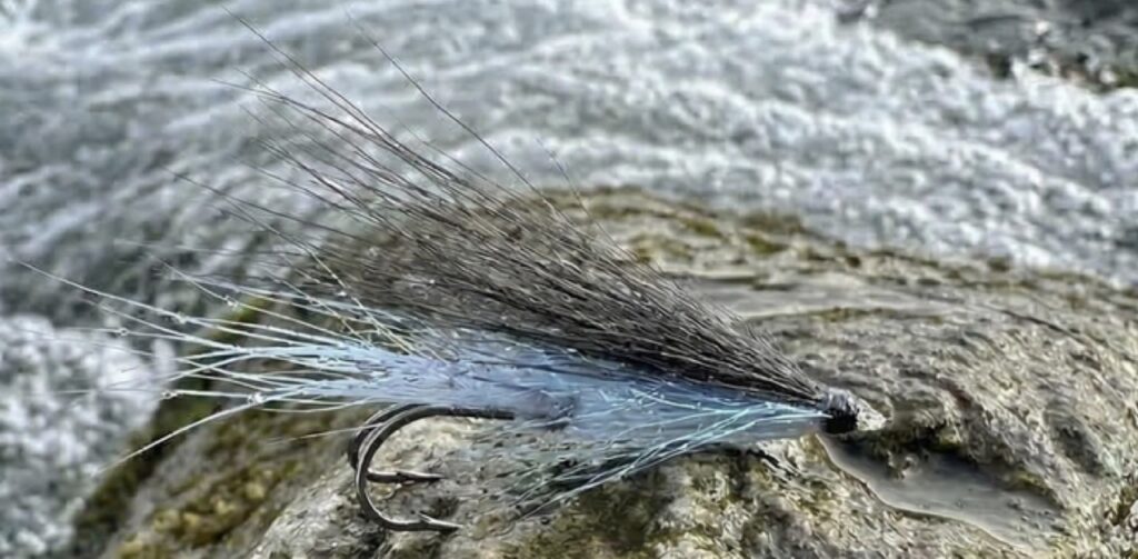 Sun Ray Shadow aka Blámi