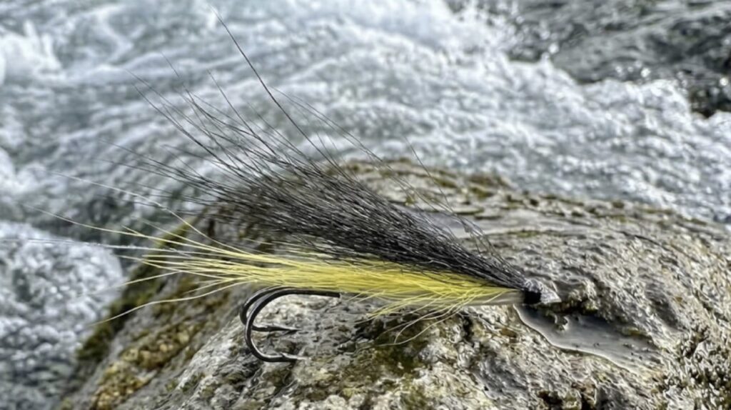 Sun Ray Shadow aka Evening Dress