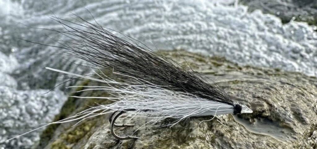 Sun Ray Shadow AKA Skuggi 